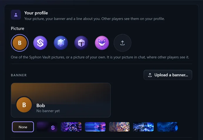Your profile in Chat settings in the browser: the pictures, the upload button and the banners
